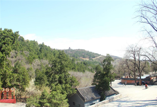 風景